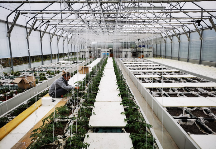 Quali agricolture?
