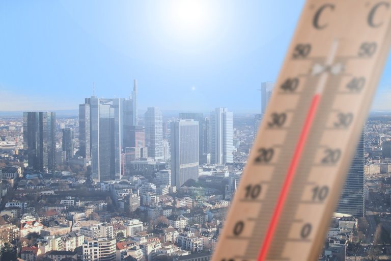 Tutti bravi a raccontare l’ambiente?
