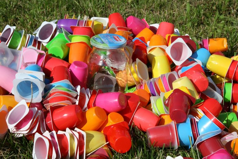 Pixabay Garbage