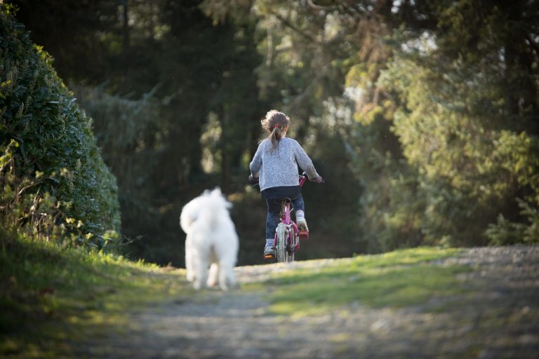 La bambina di Monteverde