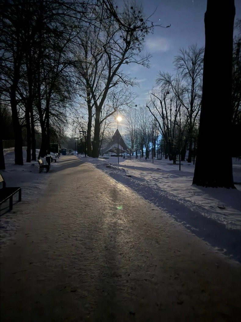 Blackout e gelo intenso in città. I lampioni nel parco cittadino sono spenti.